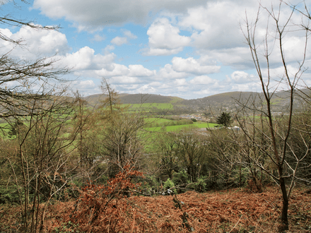 Land At Trevor Hill